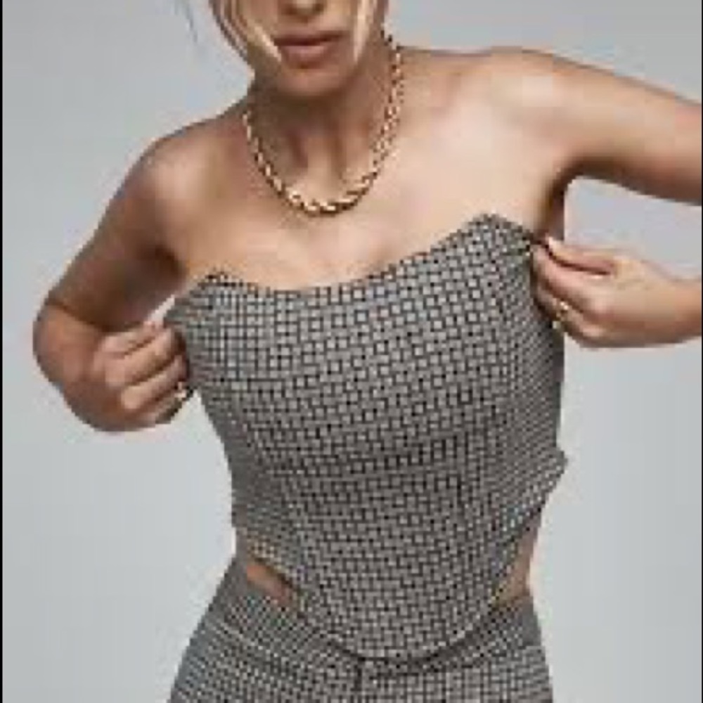 NWT Elsa Hosk 4th & Reckless Stella Corset crop top